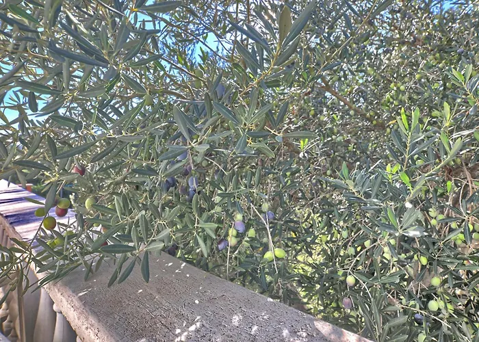 Rosa By Interhome Апартаменты